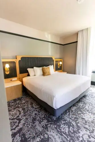 Standard Suite 1 King Bed